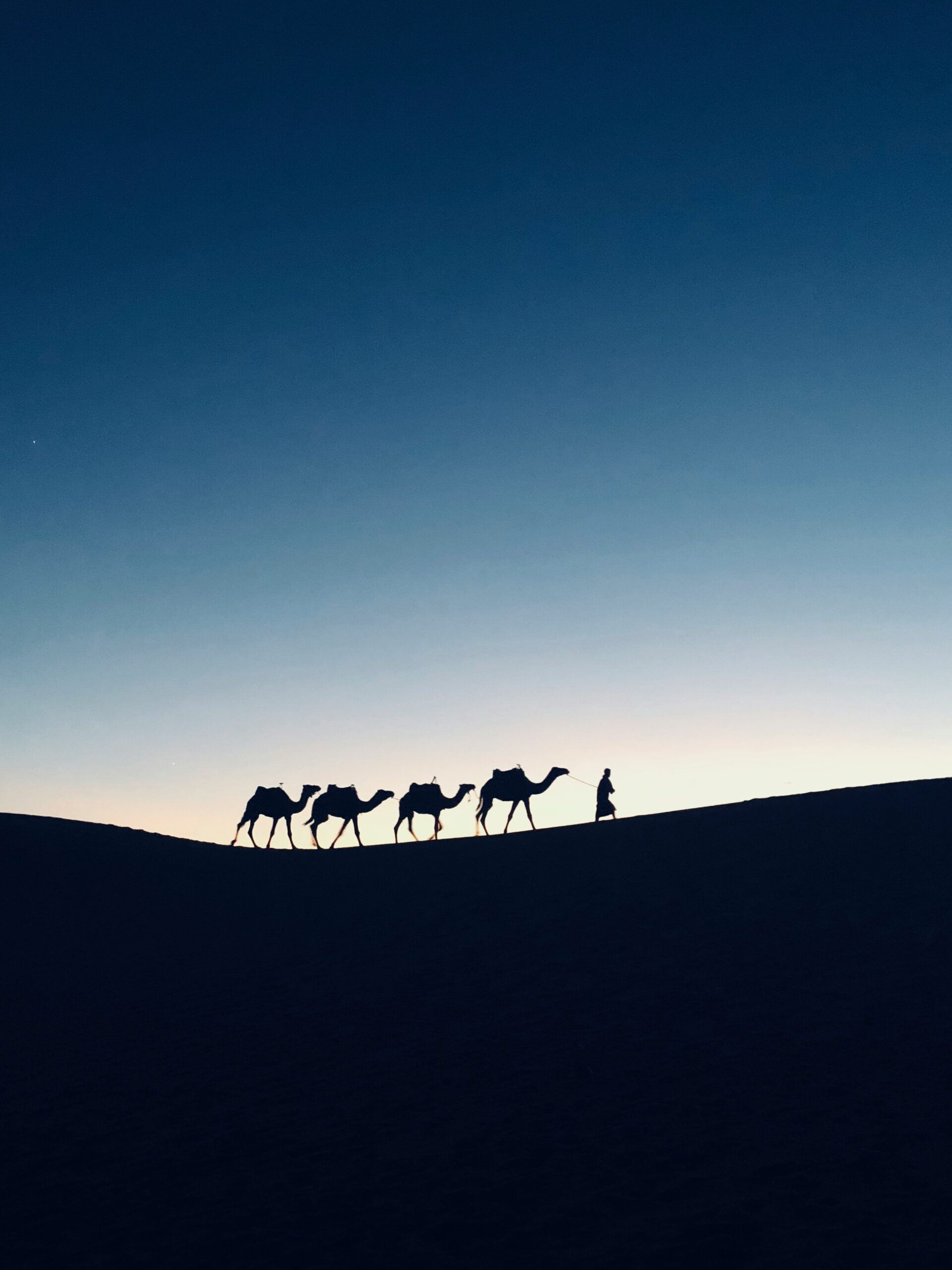 how to repent a sin - image of camels in desert